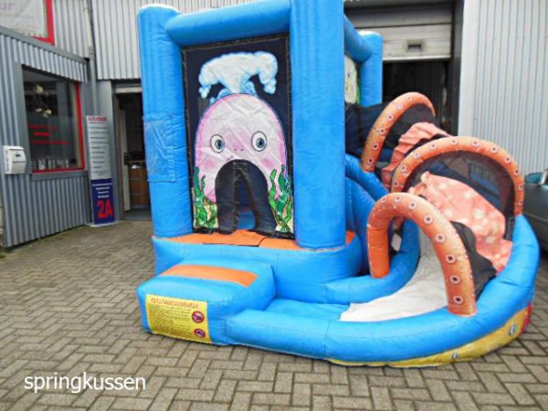 springkussen vissen seaworld